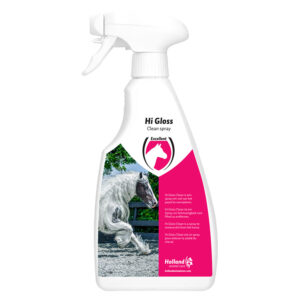 excellent Hi Gloss Clean Spray