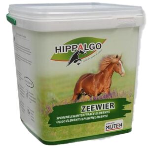 Hippalgo Zeewier