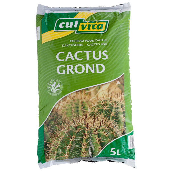 Culvita Cactusgrond